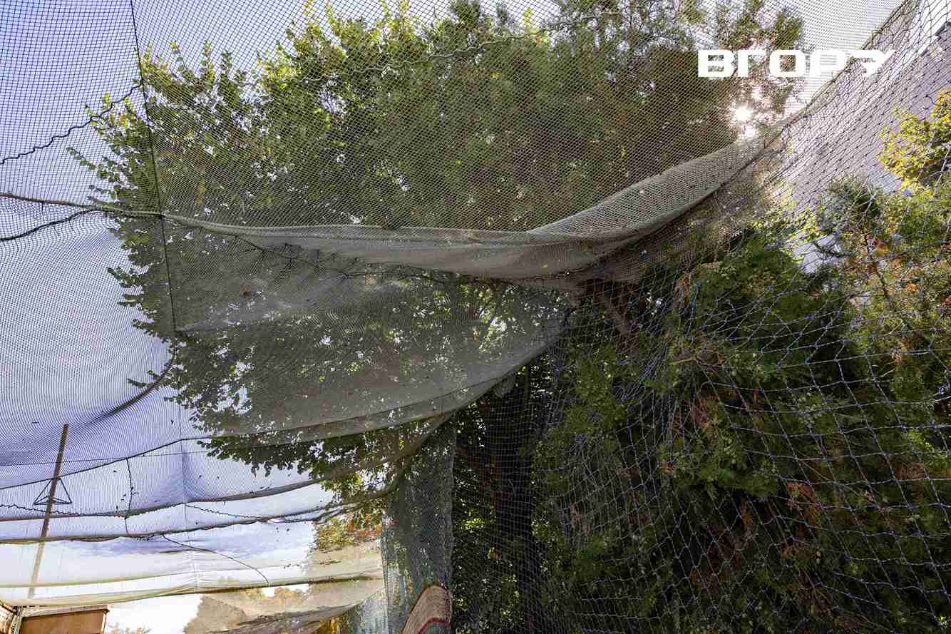 Антидронові сітки на вулицях Херсона